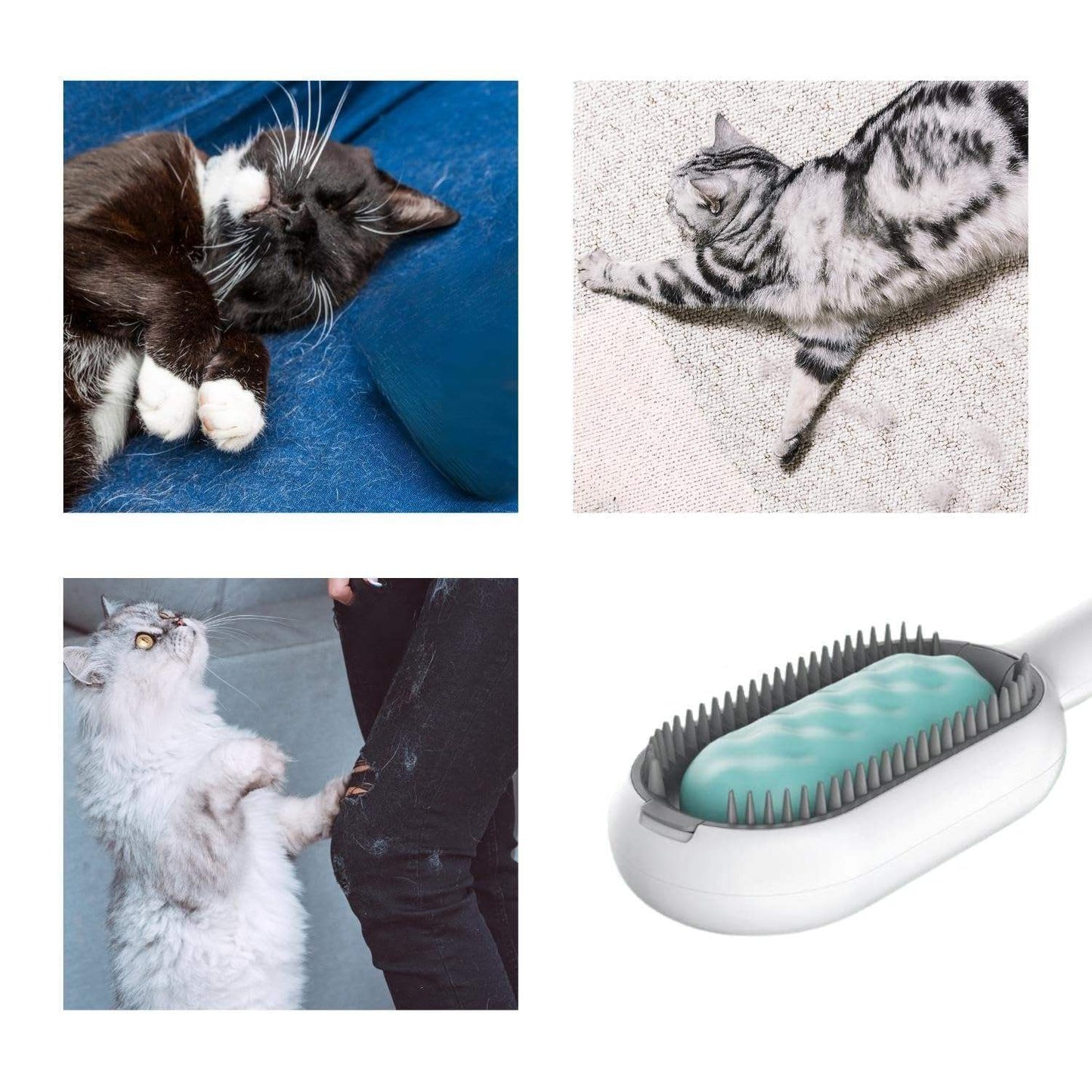 Kit Limpeza para Gatos | Escova + Raspador para Móveis e Roupa
