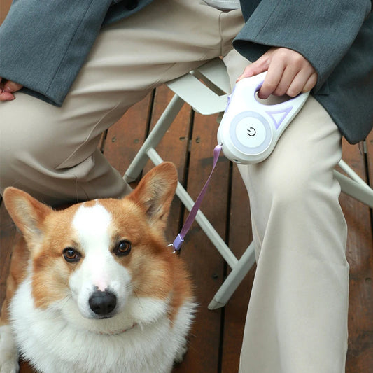 Trela Retrátil com Luz LED – Sistema de Travão à Mão e Anti-Enroscar para Cães/Gatos | Retractable Dog Leash with LED Light